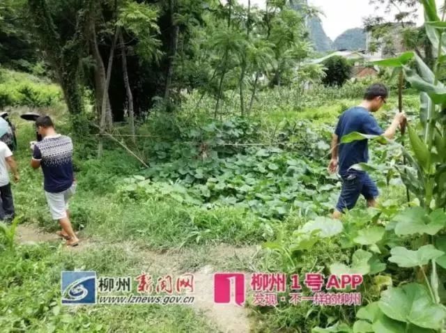 广西象州县最新杀人，广西象州县发生命案调查中