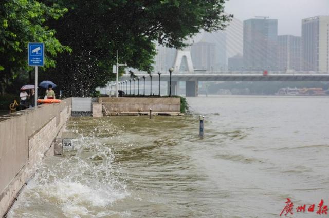 珠江水位实时动态