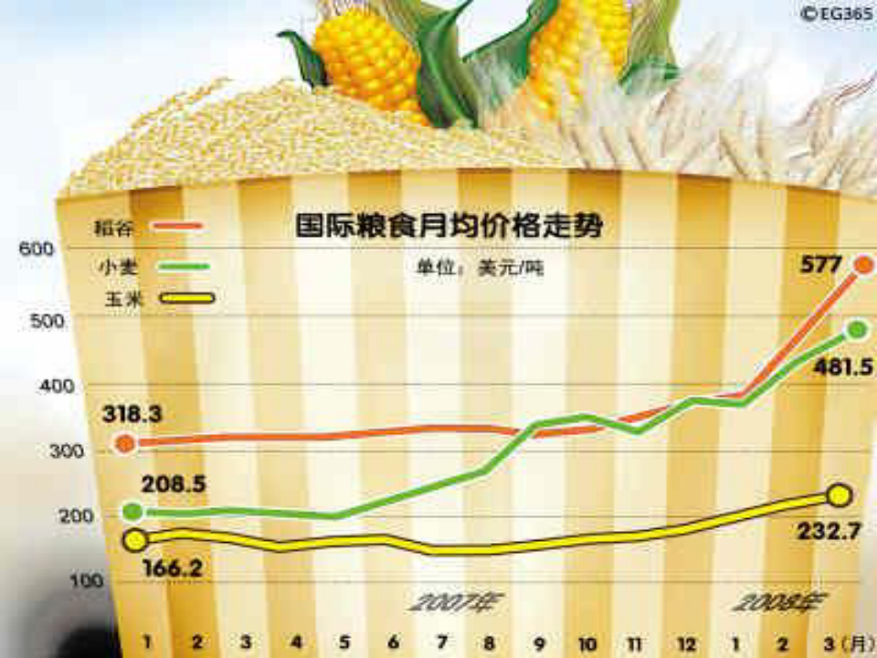 国内粮食价格动态一览