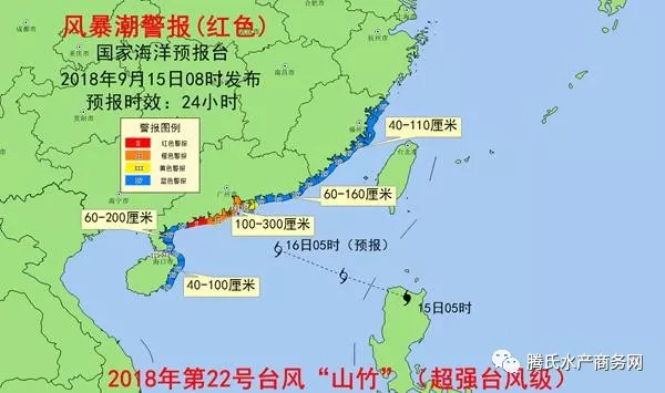 “山东沿海喜迎台风最新预报，共筑平安防线”