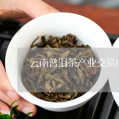 普洱茶市场动态速览