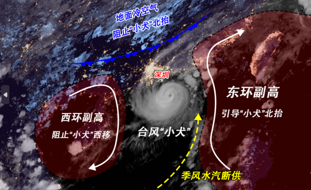 今日深圳台风最新动态