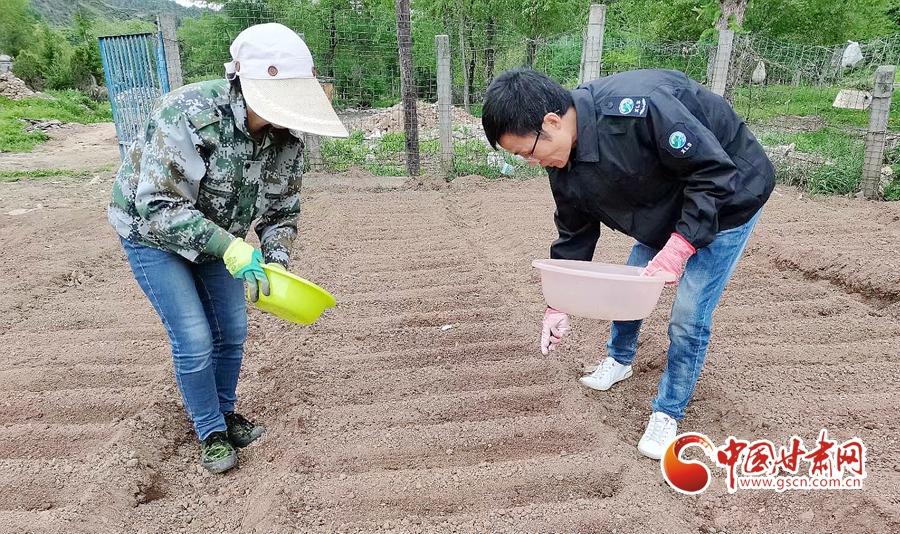 甘肃省林场改革动态资讯速递