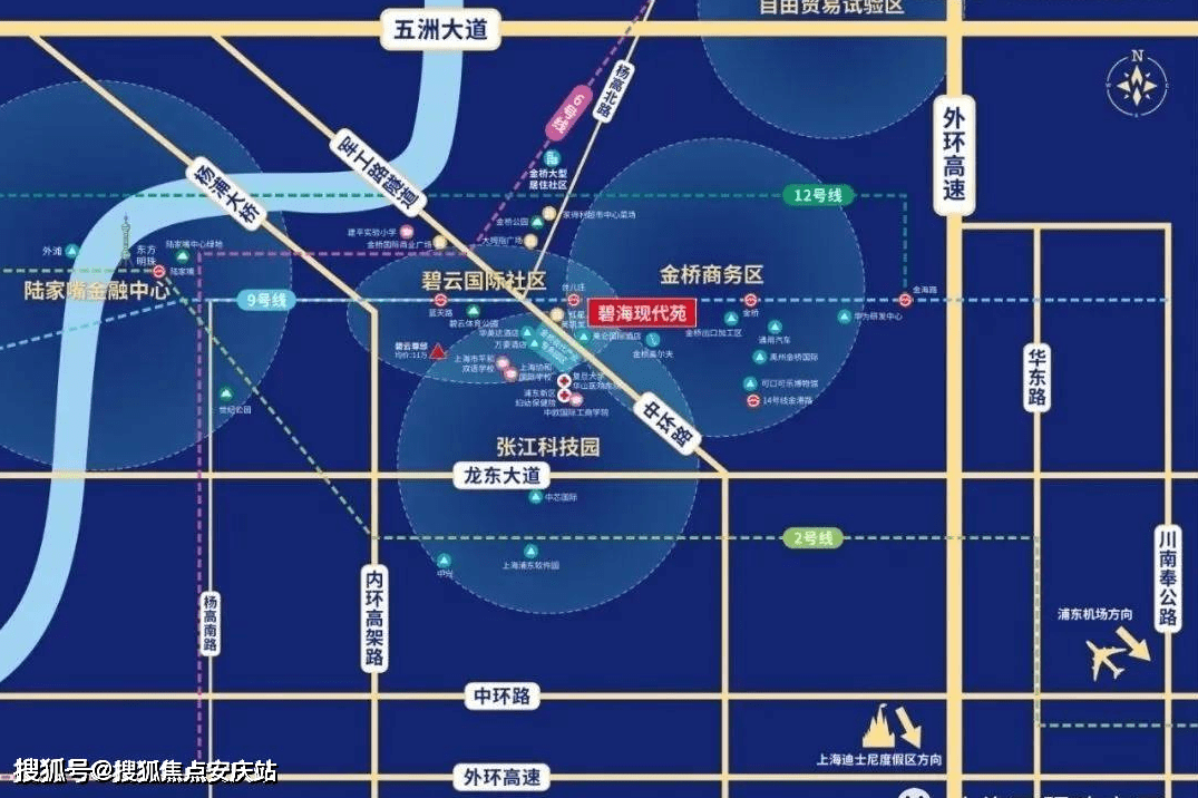 实时更新：安徽省花生市场价格动态解析